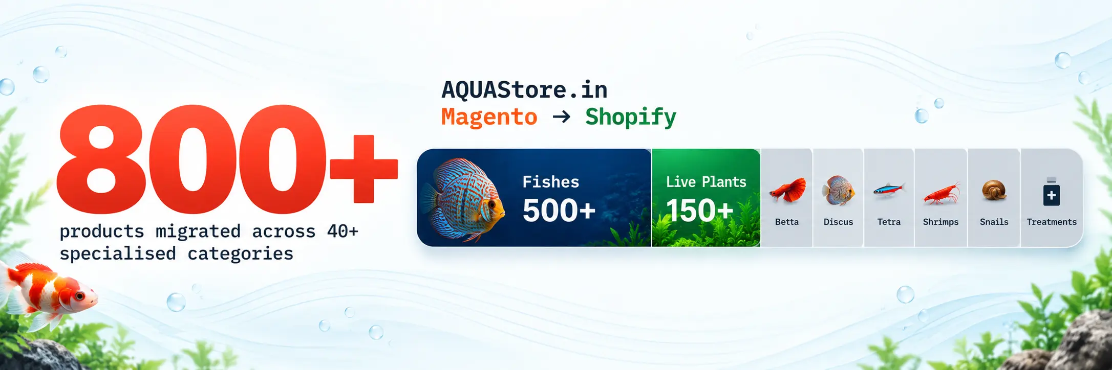 AQUAStore.in migrated from Magento to Shopify