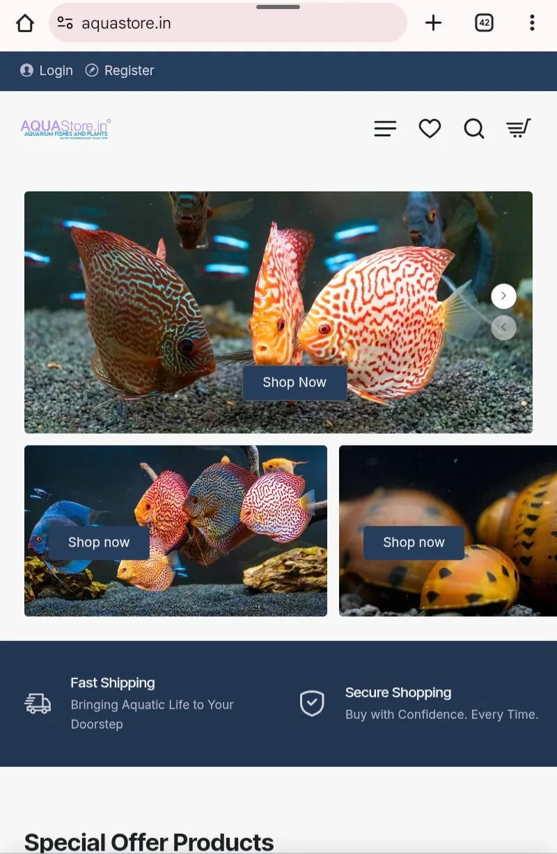 Aqua Store Shopify store on mobile